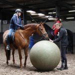 Super week gehad, veel geleerd en veel leuke mensen en paarden ontmoet!