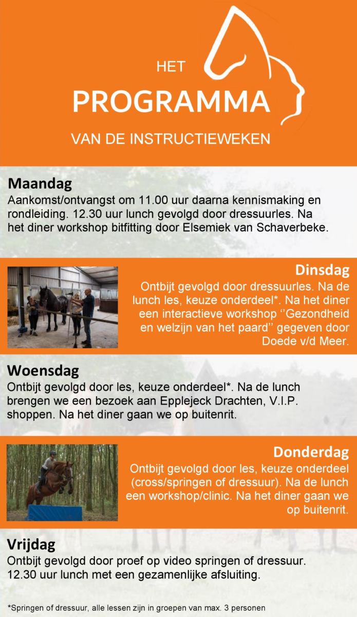 Website 2