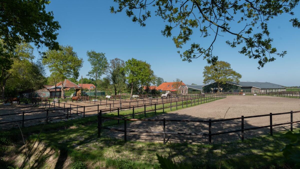 20180505 Locatie 9814 (2)