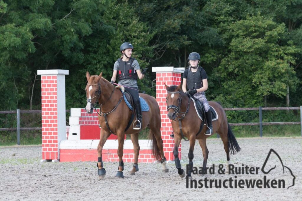 Naamloos 20210825 014