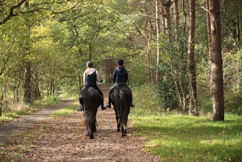 20171029 Instructieweekend 5451